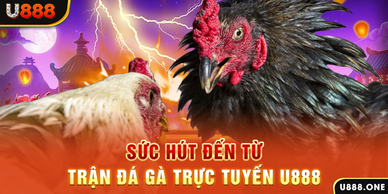 gk88 bet đá gà trực tiếp c1