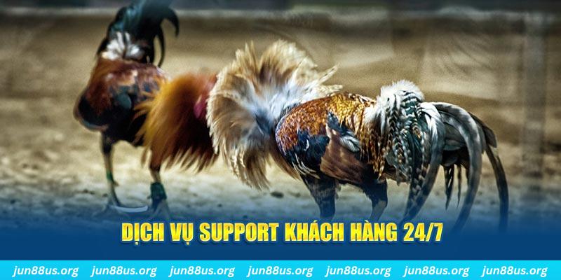gk88 bet ÁT CHỦ BÀI GIÀNH LẤY ZHUANG NIUNIU ( XEM 4 LÁ )