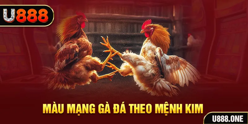 gk88 bet Cỡ bảy