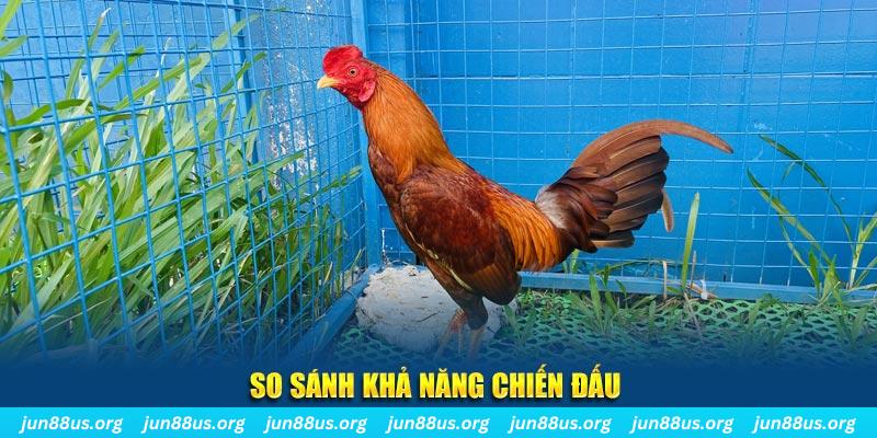 gk88 bet CQ9 Điện Tử