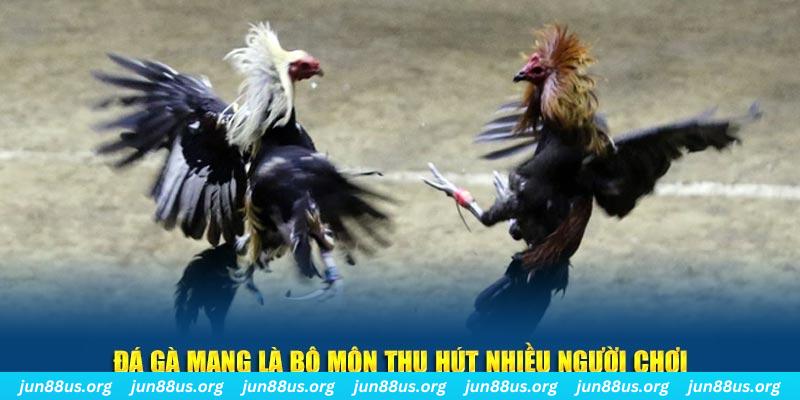gk88 bet bắn cá au88