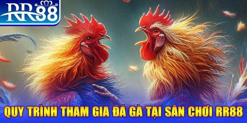 gk88 bet đá gà cam 67