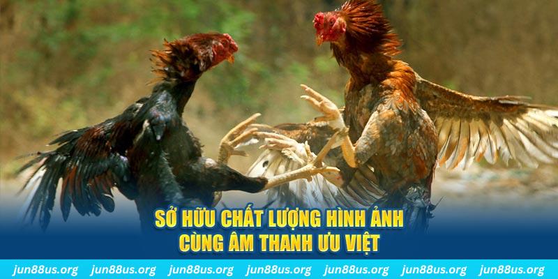 gk88 bet PP Điện Tử