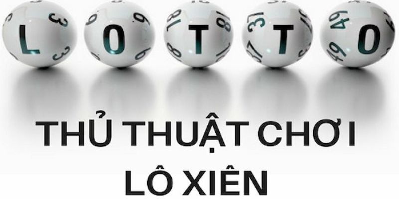 gk88 bet trực tiếp đá gà thomo