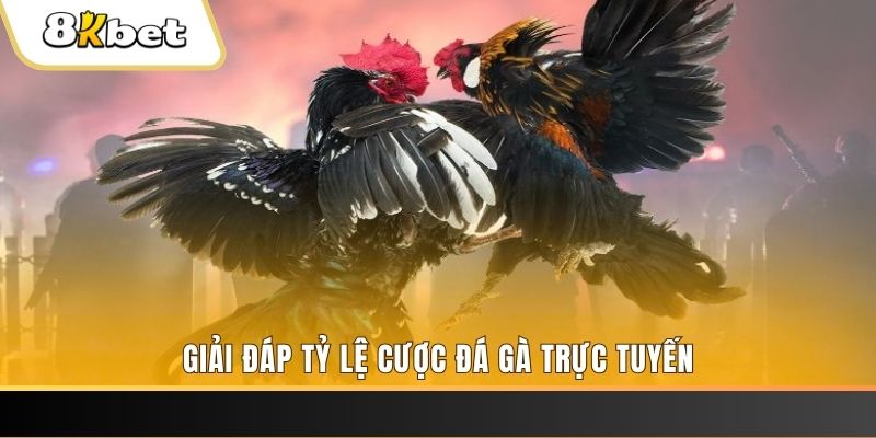 gk88 bet xổ số đài miền trung