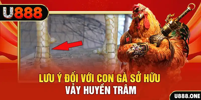 gk88 bet kết quả xổ số miền nam hôm nay