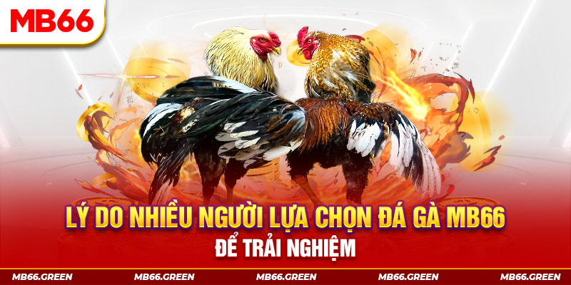 gk88 bet xổ số miền bắc thứ bảy hàng tuần