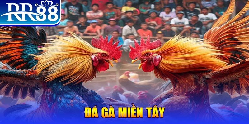 gk88 bet no hu doi thuong ai