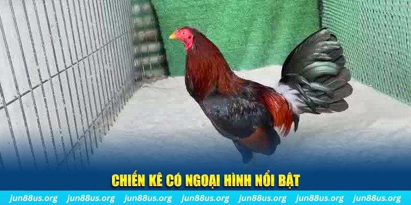 gk88 bet game nổ hũ là gì