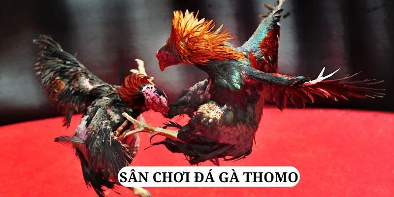gk88 bet trực tiếp xổ số miền bắc